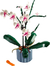 Lego Botanical Orchid 10311 - Toystomy en internet