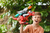 Zuru Robo Alive Dino Wars Mega-rex Dinosaurio Robótico Color Rojo