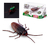 Cucaracha Robo Alive De Zuru Color Multicolor