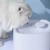 Bebedouro Fonte de Água Automático com Filtro para Gatos e Cachorros 3 Litros na internet