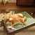 Cama Pet para Cachorro - QUATRO PATAS PET