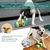 Bola Brinquedo para Pet com Compartimento para Ração e Alimento - comprar online