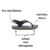 Chinelo Cartago Infantil Atlanta Baby Original BL100 - loja online
