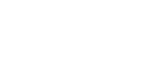 zbr shoes