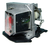 Lampara Para Proyector Optoma Ds316 Ew531 Tx536 Bl-fu185a - comprar online