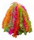 COLLAR HAWAIANO COLORES SURTIDOS BOLSÓN X200 U - comprar online