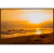 SERENIDADE AO ENTARDECER - comprar online