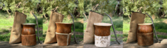 Banner de la categoría Productos
