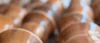 Banner baguales