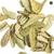 BOLDO DO CHILE FOLHAS (PEUMUS BOLDUS) PCT 500 gramas