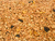 GRANOLA SEM AÇUCAR 9 INFREDIENTES 5 KG