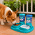 Kit Automático Pets: Bebedouro + Comedouro na internet