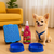 Kit Educador Pet Completo - comprar online