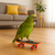 Skate de Diversão para Animais Pequenos – Papagaio, Tartaruga, Lagarto - comprar online
