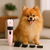 Kit de Tosa Silenciosa – Cachorro & Gato - comprar online
