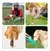 Garrafa para pets 4 em 1 - loja online