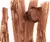 Peptide Lip Shape- Rhode - comprar online