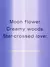Body splash Midnight Bloom | Victoria’s Secret na internet
