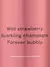 Body splash Strawberries & Champagne 250ml | Victoria’s Secret na internet