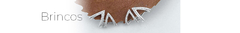 Banner da categoria Brinco