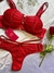 CONJUNTO EVELIN