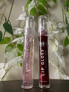 Lip Gloss Ani-k