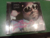Ceelo Green The Lady Killer - comprar online