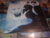Evanescence Fallen Vinilo en internet