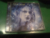 Tristania World Of Glass - comprar online