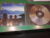 Queen Made In Heaven cd - harlock record shop