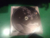 Dinah Washington Jazz 9 en internet