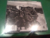 The Dead Weather Dodge And Burn ( Librito Pegado) - tienda online