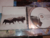 U2 The Best Of 1990 2000 en internet