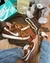 Tênis Nike Dunk Low SE Teddy Bear "Praline" na internet