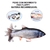 Peixe Elétrico Recarregável - loja online