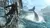 Assassin’s Creed Legendary Collection en internet