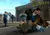 Bully: Scholarship Edition (Canis Canem Edit) en internet