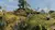 LEGO® El Hobbit™ en internet