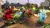 Plants vs. Zombies™ Garden Warfare - Playvideojuegos.Ps