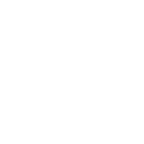 Vivi Sonho de Moda