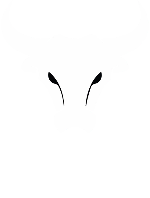 Bull Argentina