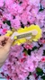 Imagem do Presilha de Flores - Amarelo
