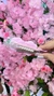Presilha de Flores - Rosa - loja online