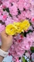 Presilha de Flores - Amarelo na internet