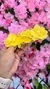 Presilha de Flores - Amarelo - Mania de Princesa