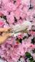 Presilha de Flores - Branco - loja online