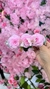 Presilha de Flores - Rosa - comprar online