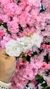 Presilha de Flores - Branco na internet