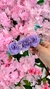 Presilha de Flores - Roxo - comprar online