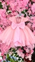 Vestido Jardim das Borboletas Baby - Rosa na internet